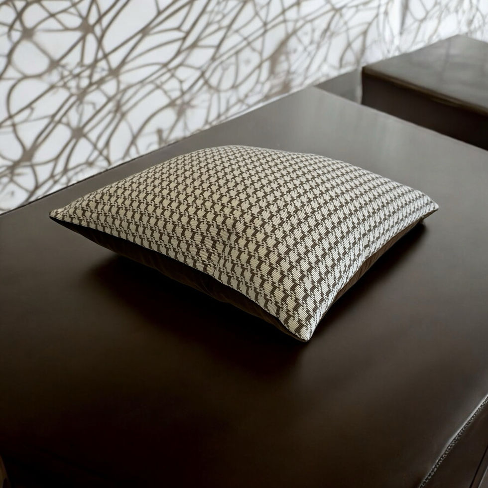 Hermes Icon pillow home, private jet, yacht