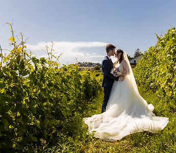 A kiss in the vineyards