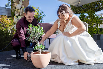 The couple planting an olive tree together