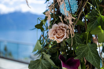 Detail of the arch: a rose and ivy