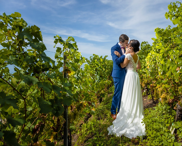 Mariés enlacés dans les vignes, au-dessus du lac