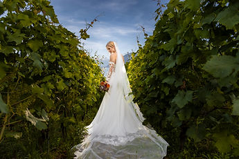 The lace train spread out along the vineyard path