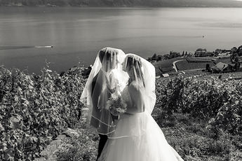 The couple beneath the veil in the vineyards, in black and white