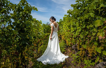 The bride from behind, her train spread out in the vineyards
