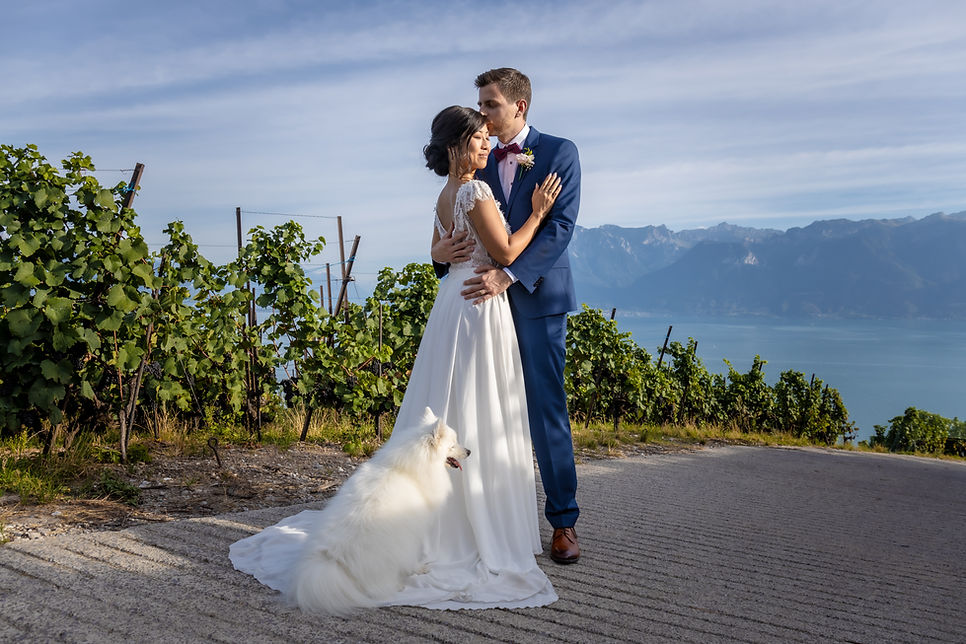Mariés sur un chemin des vignes du Lavaux, le Léman et les Alpes en face