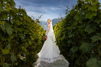 Vahide from behind between the vines, veil and train spread out
