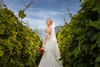 The bride in profile, between the vines and the lake