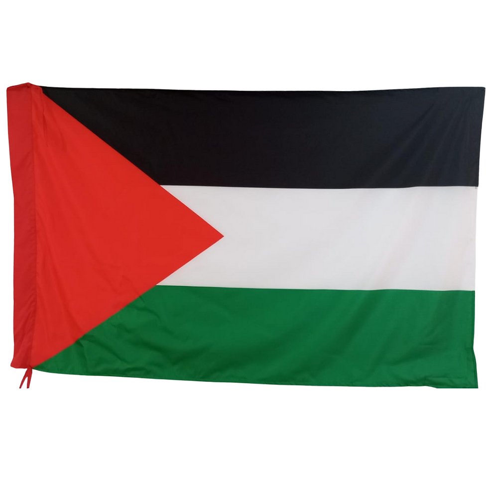 Miniatura: Palestina