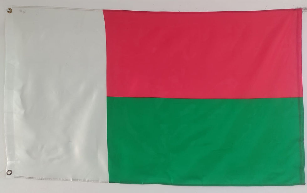 Miniatura: Madagascar