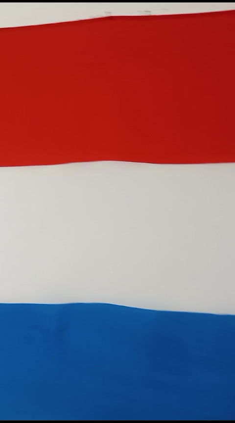 Miniatura: Holanda