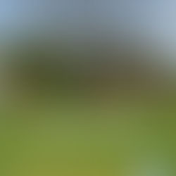 OPEN DAY 15 LUGLIO 2023