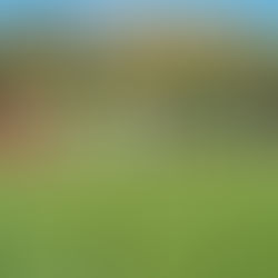 I GIOVANISSIMI B UNDER 14 PROVINCIALI VINCONO 3 A 0 COL PIETRASANTA