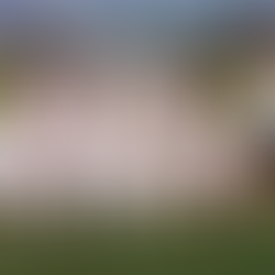 GIOVANISSIMI A U15 REGIONALI 3 A 1 CONTRO LA SAN MARCO AVENZA