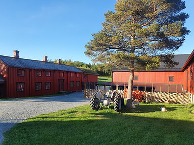 20210607_202052.jpg