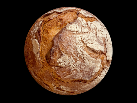 SpaceBakery: O pão do futuro, é o pão do passado