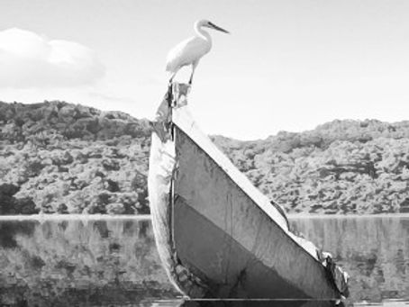 The Art of Community: Visual Sonnets At Branigan Cultural Center