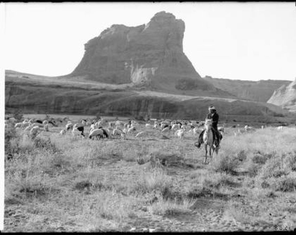 15095113_1276030189125743_1517442970955218991_n