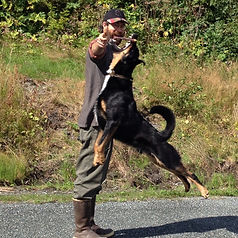 WITH WILLIAM FOWLKES