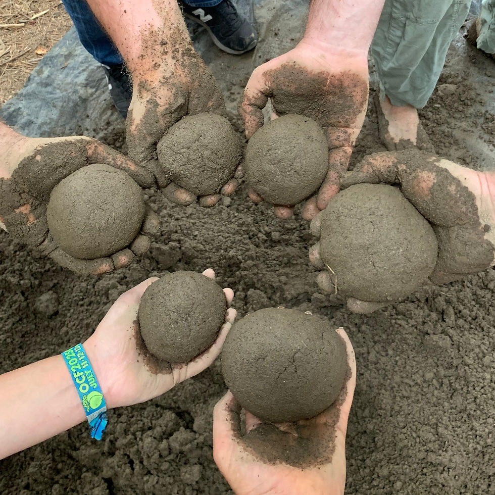 Wooden bowl turned on a lathe