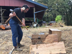 Duncan splitting an oak log for a multi-week greenwood stool building class this fall.