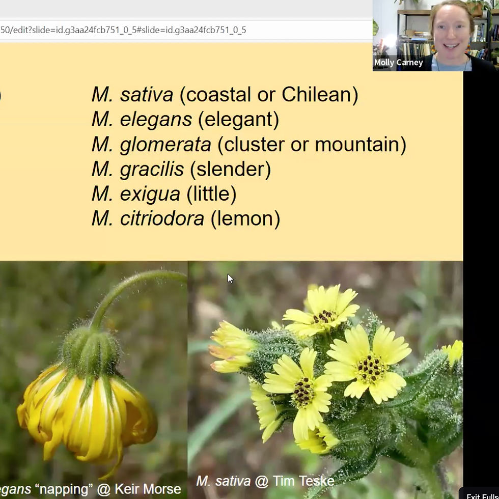 Screenshot from the webinar.