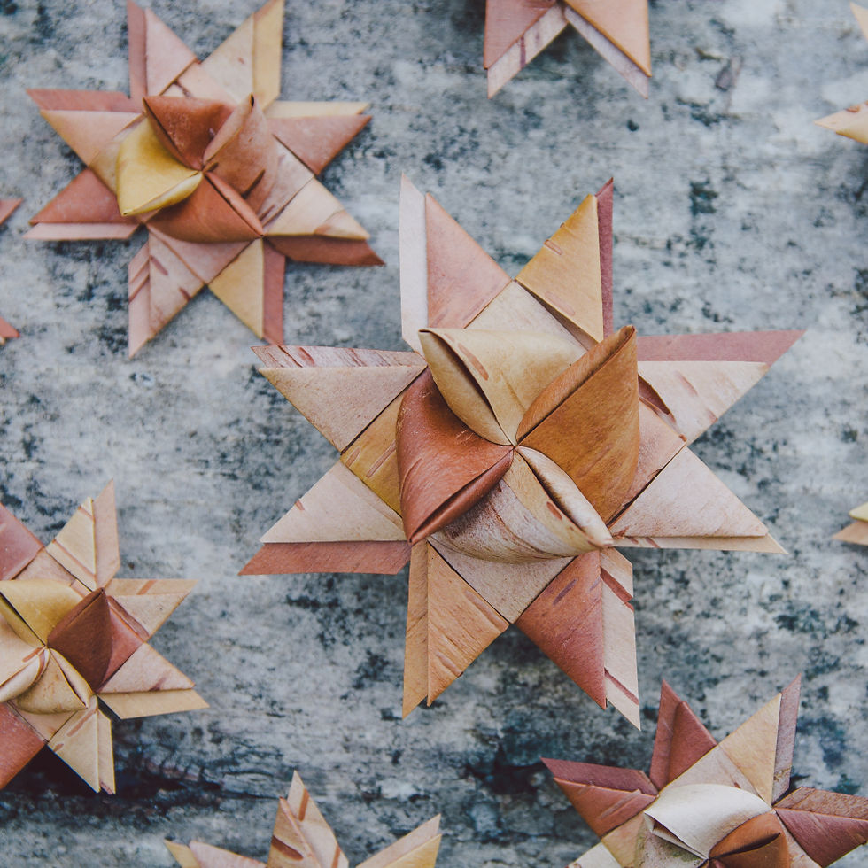 BIRCH BARK STARS
