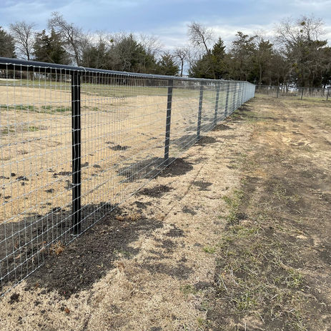 Fence.JPEG