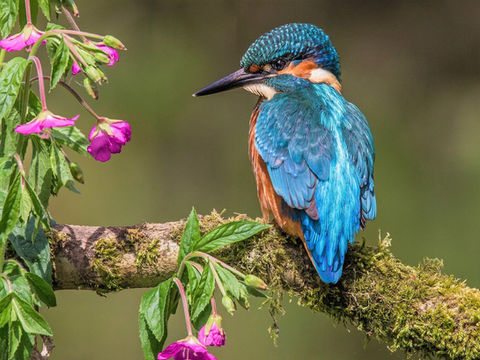 Embodied Presence Cannot Be Simulated