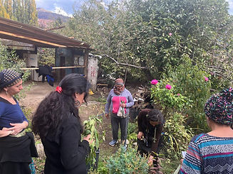 Argentina Mapuche.jpg