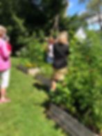 Valerie's garden5