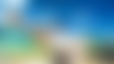 Amor bajo el cielo del Pacífico: la luna de miel que solo Hawái puede contar