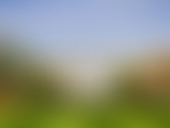 Washington D.C. ¡Donde la primavera florece en una aventura inolvidable!