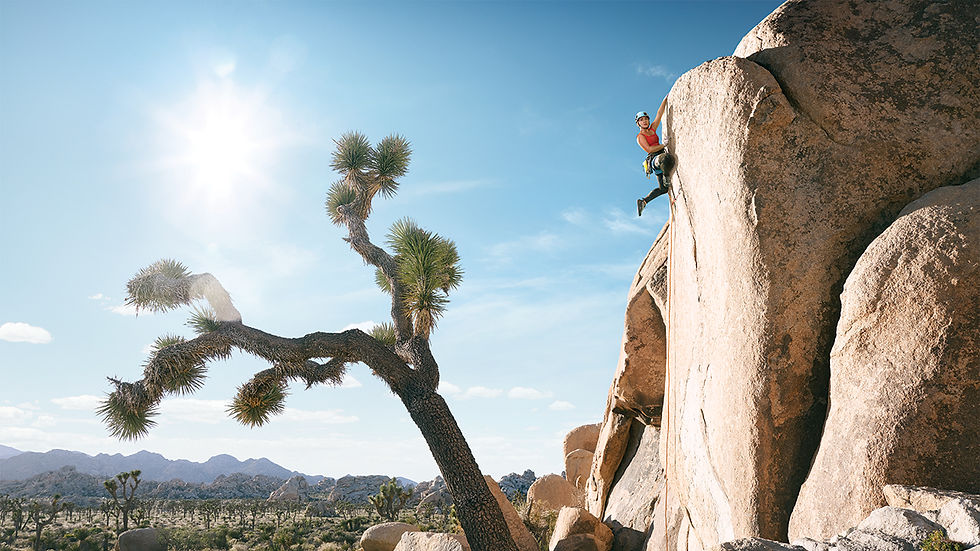 Grandes acontecimientos, megaeventos y nuevas atracciones esperan a los viajeros en California en 2026