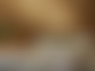 Restaurando un tesoro: Hotel del Coronado en San Diego, California