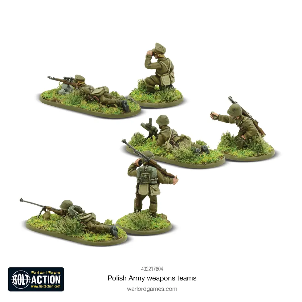 Thumbnail: Polish Army Weapons Teams