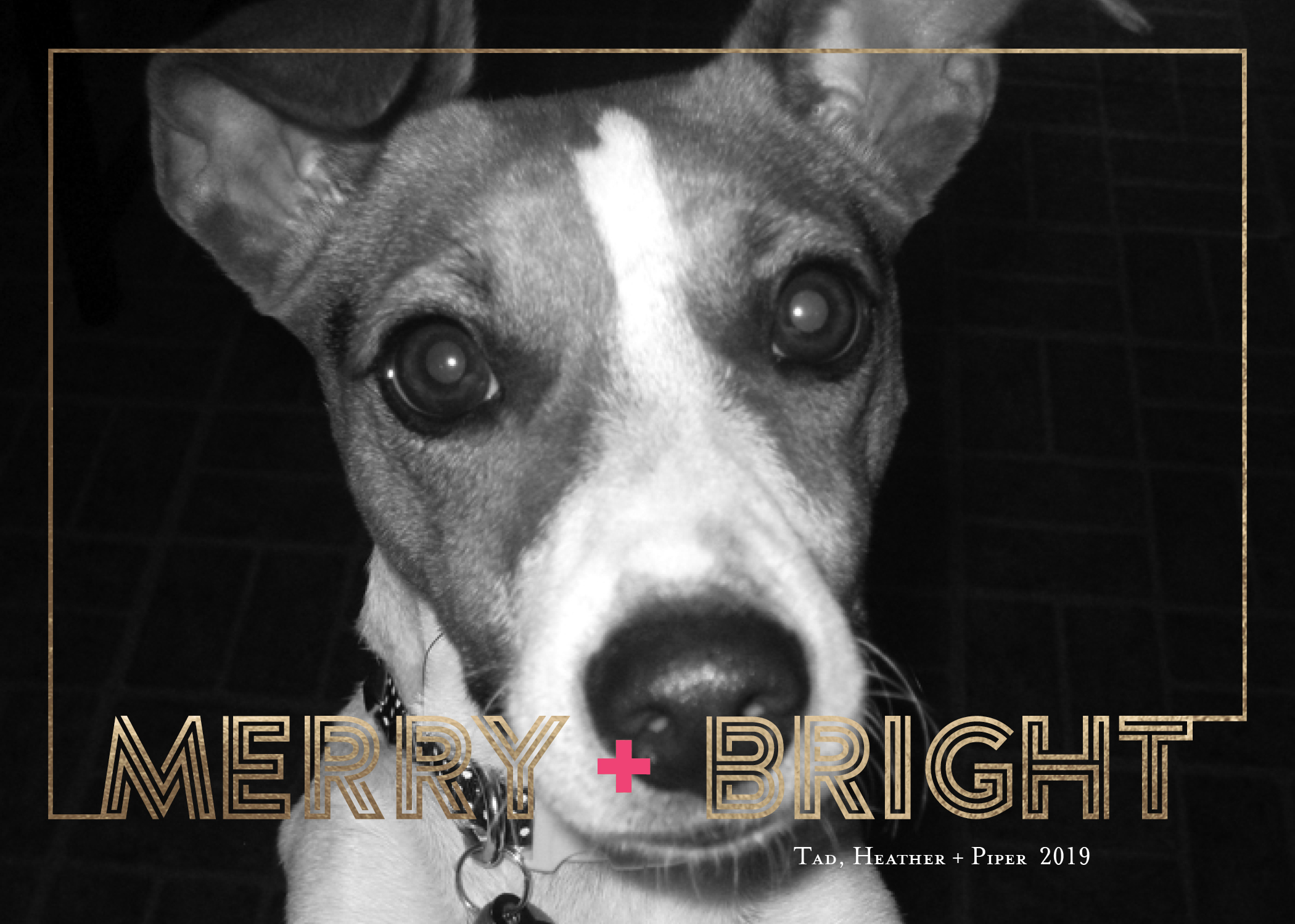 Merry + Bright