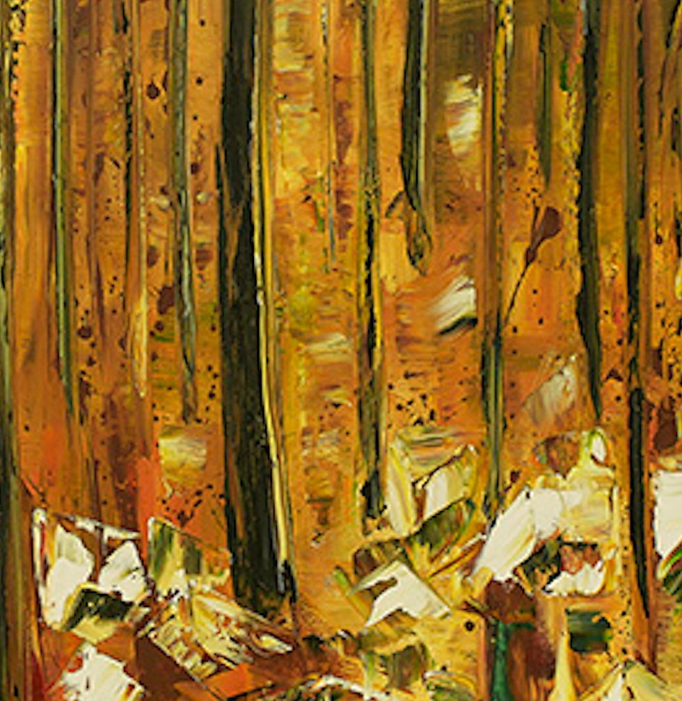 Thumbnail: R4  Burnt Forest
