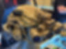 IMG_B1E1E6E830B6-1.jpeg