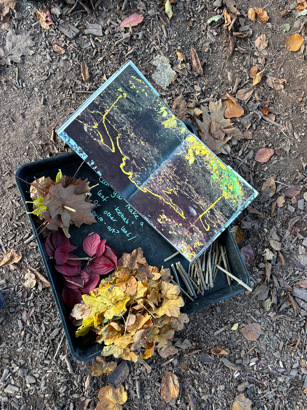 Nature Connection for Kids