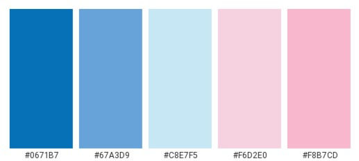 Blue and Pink Color Codes_edited.jpg