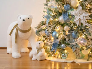 Meet Jake Decorates: Your Sydney Christmas Decorator