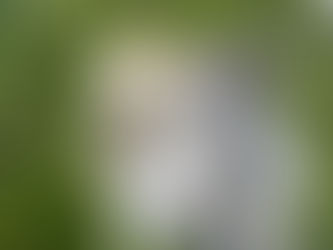 Cascades pétrifiées de Hierve el Agua