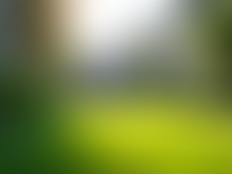 Commercial Landscaping Expense Guide: Breaking Down Costs of Commercial Landscaping