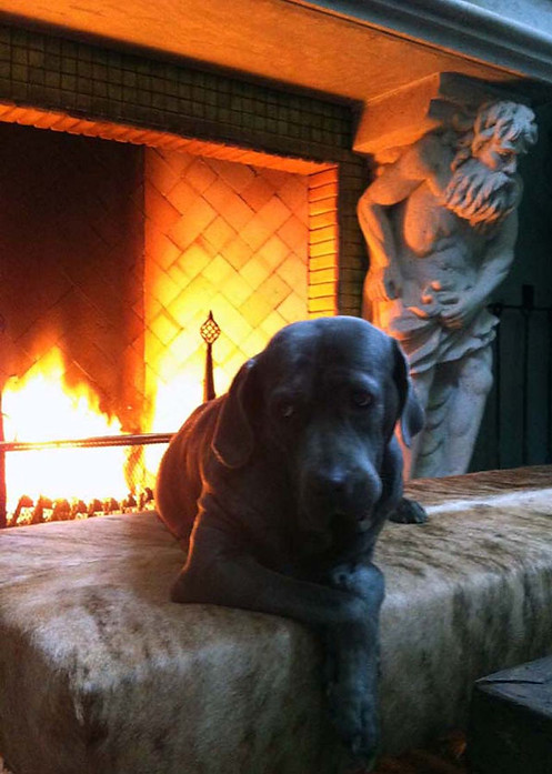 Lou Kief | Author & Historian