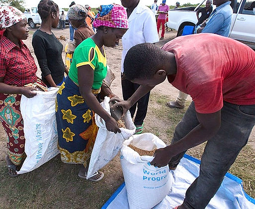 WEBWFP-USA_Mozambique_2017_Day_3_Food_distribution-40_edited_edited.jpg