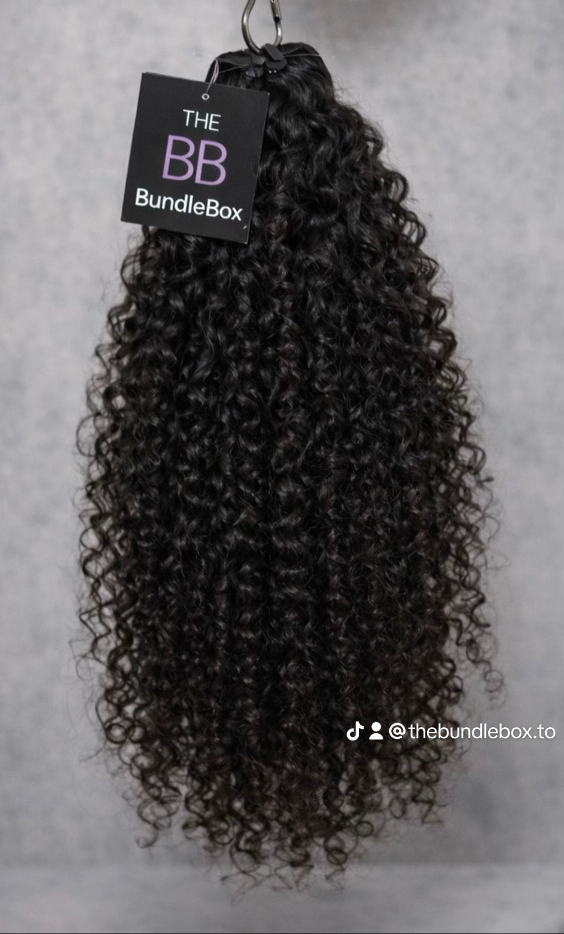 Burmese Curly
