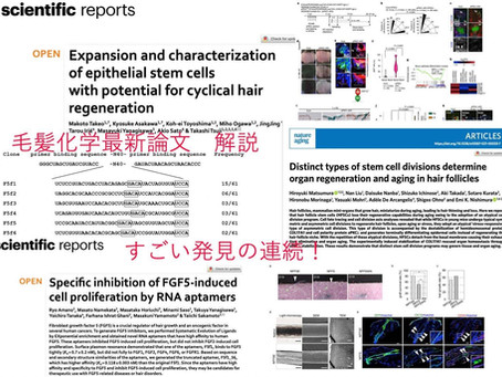 毛髪科学