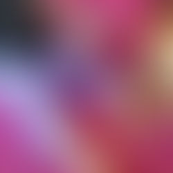 2/12（日）本日御予約承ります！｜明日は…