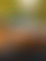 Smart Travel Starts at the Airport: A Simple Guide to Stress-Free Transfers in London