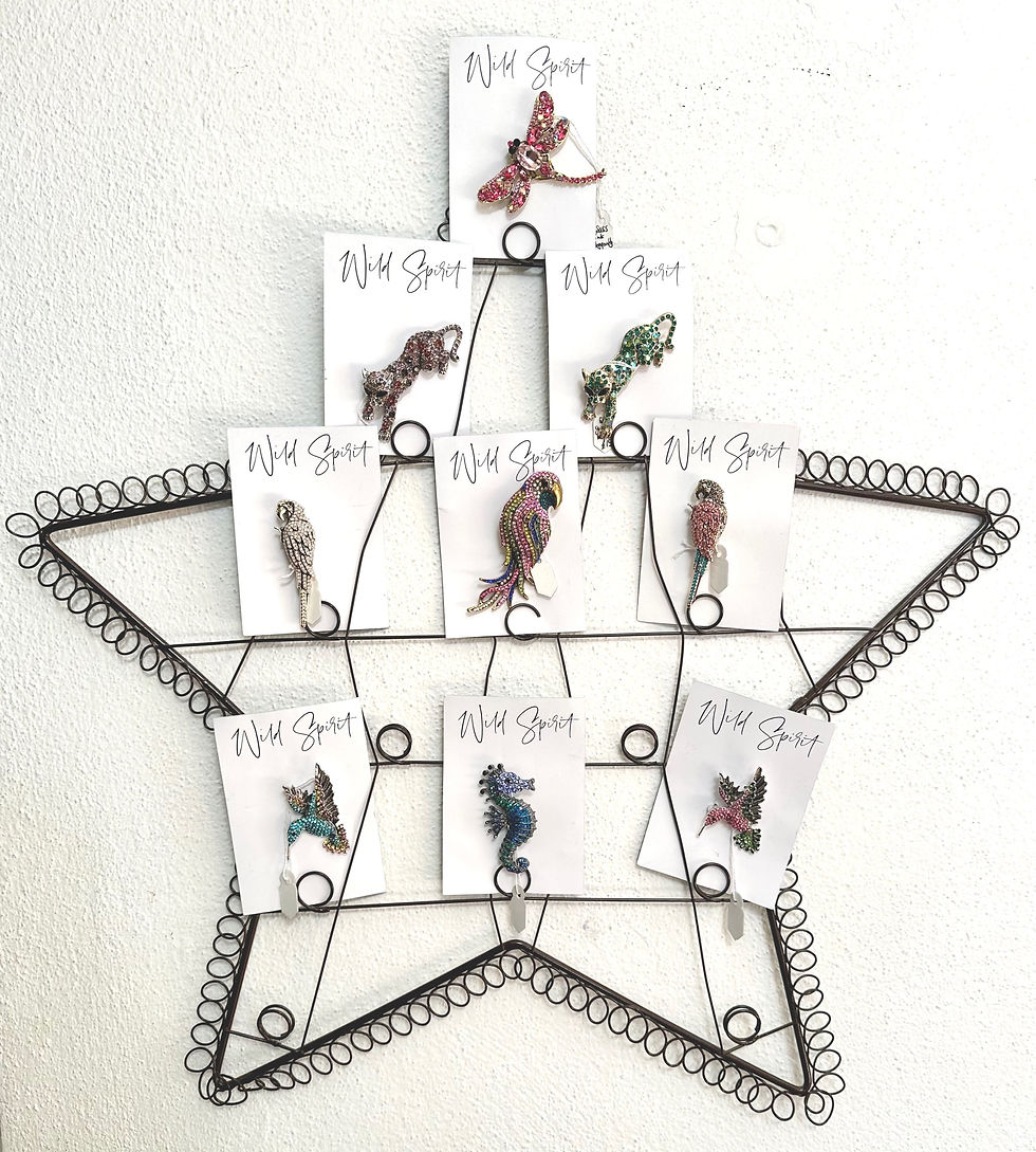 Thumbnail: Wild Spirit brooches